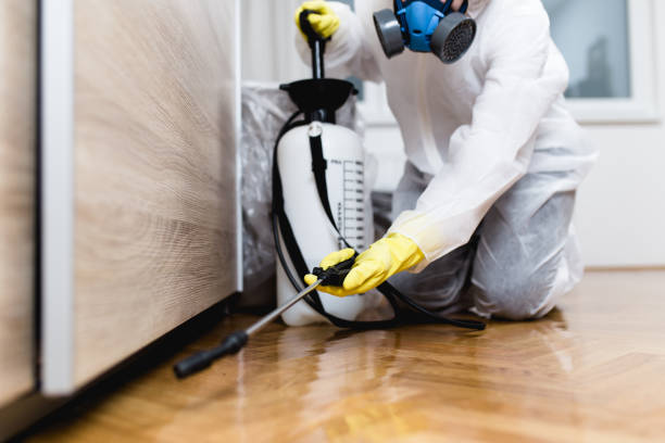 Best Emergency Pest Control  in North Lewisburg, OH