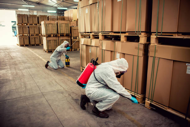 Best Wildlife Control Services  in North Lewisburg, OH