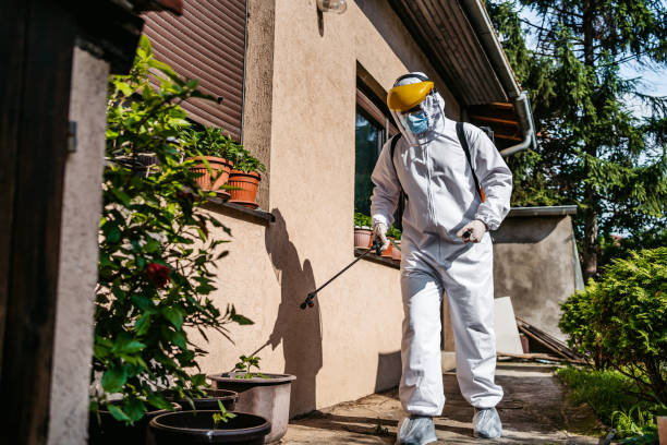 Best Cockroach Control Services  in North Lewisburg, OH