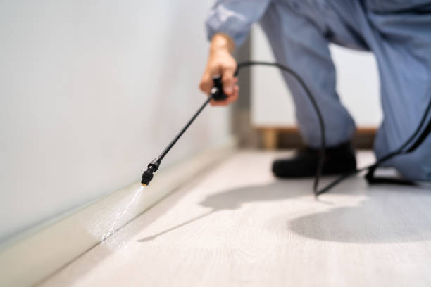 Wildlife Control Services in North Lewisburg, OH