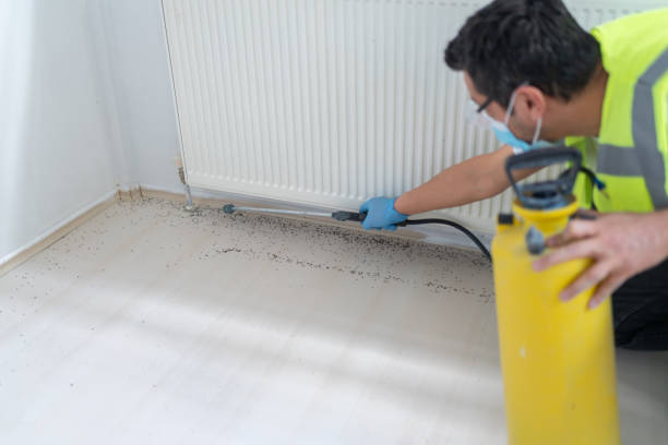 Best Pest Control Near Me  in North Lewisburg, OH