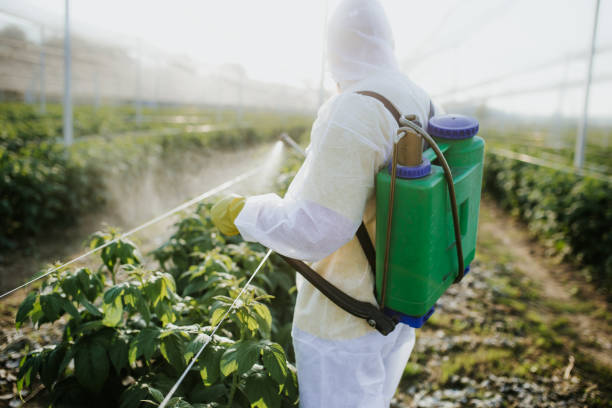 Best Affordable Pest Control Services  in North Lewisburg, OH